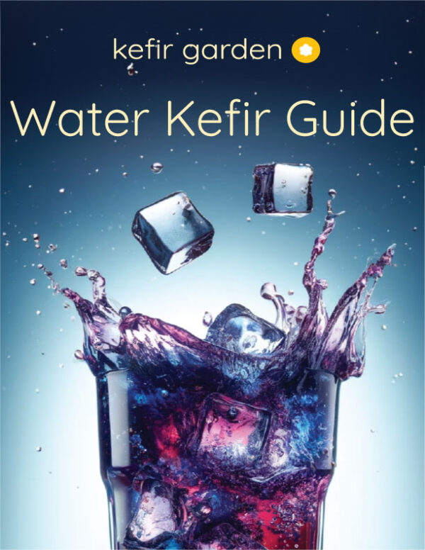 Picture of front of water kefir guide